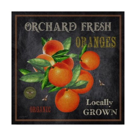 Trademark Fine Art Jean Plout 'Orchard Fresh Oranges' Canvas Art, 18x18 ALI37362-C1818GG